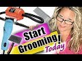 Get Started as a Pet Groomer-Tools You Need