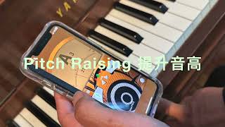 ChenYN Piano Tuner 陈师傅调音-Pitch Raising （左右手调音）