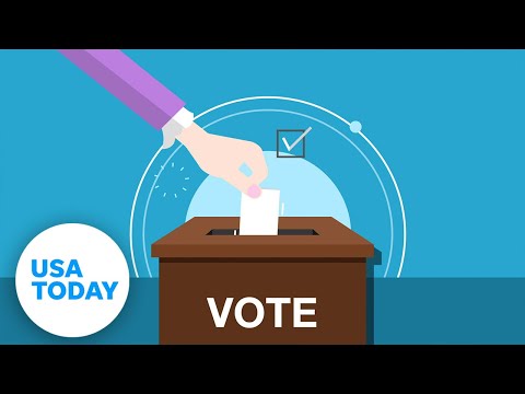 How polls work: The science behind voter opinion | Just the FAQs