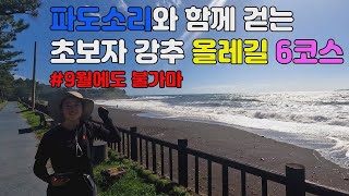 🚶너무 멋진 제주 올레길 6코스🚶 | 이제 막 올레길을 시작하는 초보자에게 추천하는 맛보기 코스!🌳🌏