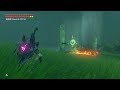 Zelda: BOTW (Phantom Link VS Gold Lynel) Dark Royal Guard Weapons Only