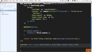 6 wordpress shortcode Tweets Project 1