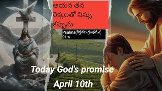 ఆయన రెక్కల క్రిందే మనకి రక్షణ☦️🛐