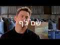 מנורמי לדאנק מימר מלך המדריך הפשוט