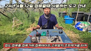 접목할때 사용하는 접목도구 안내 240412 -  접도,접목틀,접목가위,접목테이프,고무망치,조피제거끌,타카 p2404