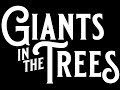 Giants In The Trees -  