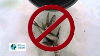 Ice Fishing PSA