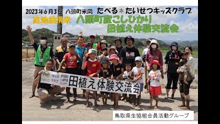 2023年6月3日　産地提携米　八頭町産こしひかり　田植え体験交流会