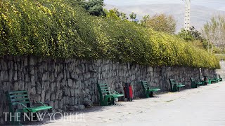 The Streets of Tehran Under Quarantine | The New Yorker