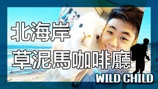 【 台北之旅-旅遊台北】北海岸的草泥馬咖啡廳！｜旅遊推薦VLOG＃14｜美食GO了沒｜台北｜Taipei cuisine｜野孩子TV