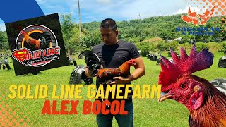 Solid Line Gamefarm Alex Bocol