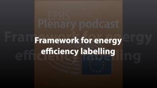 Framework for energy efficiency labelling [Plenary Podcast]