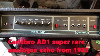 Carlsbro ECHO AD1 super rare analogue Echo made in the UK from 1983 ( Reticon SAD4096)