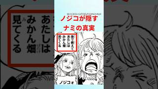 【最新1127話】ノジコが隠すナミの真実【ワンピース】 #ワンピース #ワンピースの反応集まとめ