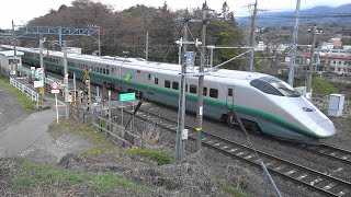 2023 JR東日本 奥羽本線 茂吉記念館前駅 みゆき公園の散桜と通過する列車 4K版