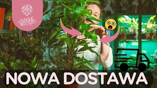 Listopadowy WYSYP hoi 💚 Jesienne NOWOŚCI od Jungle Boogie w najnowszej dostawie 🪴