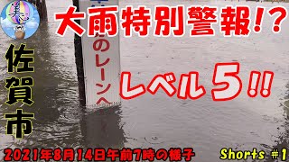 【大雨特別警報】佐賀市の様子 2021年8月14日午前7時＃４７ ～美心めだか～ #Shorts