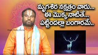 మృగశిర నక్షత్రం వారు ఈ మొక్క నాటితే పట్టిందల్లా బంగారమే | Mrigashira Nakshatra | Eagle Media Works