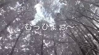 2018年1月27日　金剛山（霧氷）Mt.Kongo