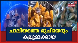 പ്രസിദ്ധമായ Kozhikodeൻ കല്ലുമ്മക്കായ ;ഏറ്റവും രുചിയുള്ള കല്ലുമ്മക്കായ കിട്ടുന്നത് Chaliyath