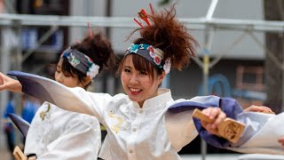 周防紅華連・黒崎よさこい祭り2019（曲里の松並木公園会場）