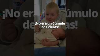 Niño Rompe en Llanto al ver su Hermanito Nuevo ¡No Era un Cúmulo de Células! #Pildorasdefe