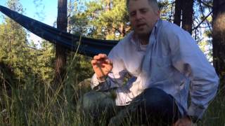 Therm-a-Rest Slacker Hammock Single Review