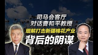 司马南对话曹和平教授：细解打击新疆棉花产业背后的阴谋