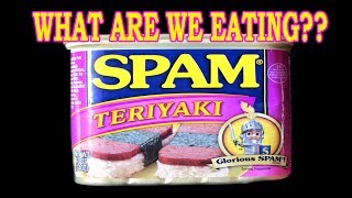 SPAM Teriyaki FRIED RICE! - WHAT ARE WE EATING?? - The Wolfe Pit