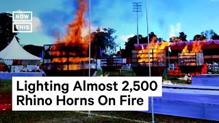 Officials in India Burn Old Rhino Horns for World Rhino Day #Shorts