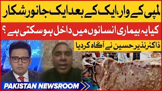 Lumpy Skin Disease in cattle | Yeh Bimari Insanon Mai Bhi Dakhil Ho Sakti Hai? | Pakistan News Room