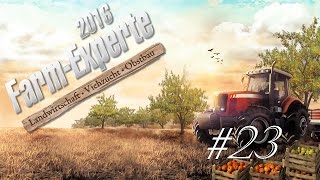 Farm Experte 2016 - Landwirtschaft - Viehzucht -Obstbau - Die Hirschzucht meines Großonkels #23