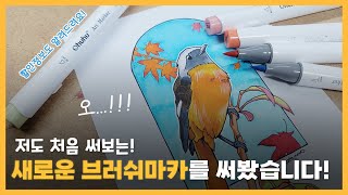 처음 써본 오후후 호놀룰루 브러쉬 마카 리뷰! | 72색 마카 리뷰 | 마카추천 | How about Ohuhu Markers