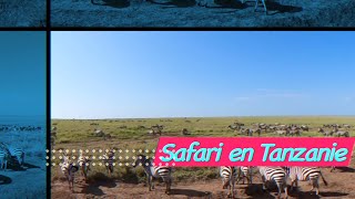 🎞️ Safari en Tanzanie - Voyage Tanzanie/Zanzibar   février 2023 - part 2 🎞️