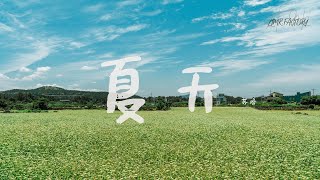 夏天 || 苏晗 「“整个夏天想和你环游世界 山路蜿蜒就像是爱的冒险“」