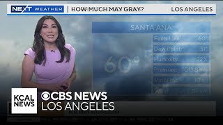 Amber Lee's Morning Weather (May 22)