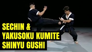 Uechi Ryu Sechin \u0026 Sechin Yakusoku Kumite - Shinyu Gushi [SUBs en Español]