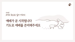 영과 진리로 예배합시다 (요한복음 4:13-24) - 홍기영 목사 - 2025.1.26