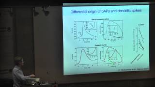 FROM ICNC TO ELSC | Frontiers in Neuralcomputation | Part 2