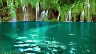 Emerald Cascades: A Serene Journey of Green Waterfalls for Relaxation, Tranquil Meditation and Sleep