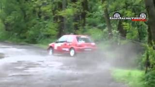 Extreme Crash ! Car vs Tree ! Sergei Lisowski and Margaret Piasecka - Poland Rally - Motorsport