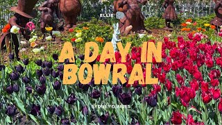 sydney diaries | day trip to bowral for antique shopping, pastries and tulips