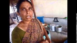 Dairy farm own concentrate feed making | பால் மாட்டு பண்ணை