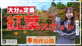 紅葉って見ごろなの？【用作公園】