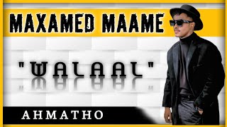 MAXAMED - MAAME - WALAAL - CALI ZAKI \u0026 JUWEERIYA AROOS 2024