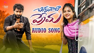 Chinnanati Prema Part - 2 | Audio Song | Tony kick | Vaishnavi sony | Madeen SK | Latest Song