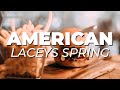 LACEYS SPRING most delicious AMERICAN RESTAURANTS | Food Tour of Laceys Spring, Alabama