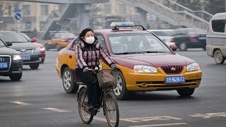 想要選耐用省油的車？應該沒有人比這個公司選的車更可靠了！