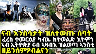 ናብ እንስሳታት ዝለተወጡ ሰባት ፈረስ ተመርዕያ ካብኡ ክትወልድ እትምነ