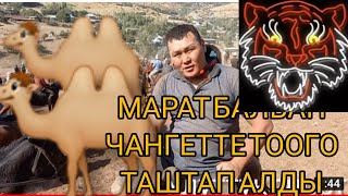 Чангетте улак🐎Марат тоону🐫 алды